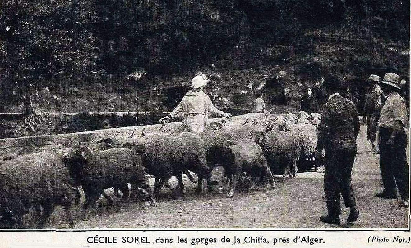 Gorges de la Chiffa - Cecile Sorel.jpg